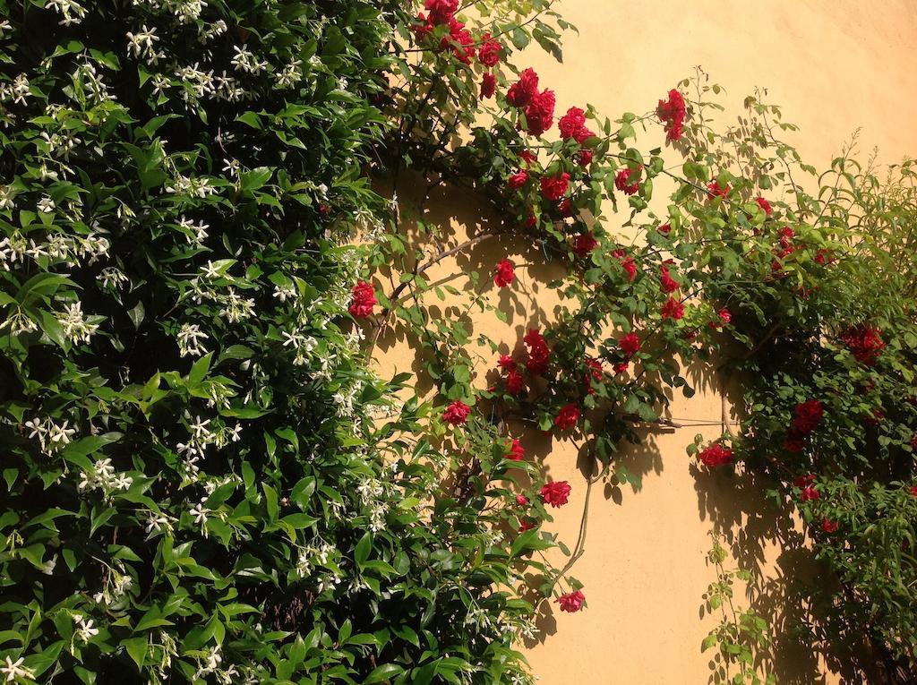 Albergo Giardinetto Bellagio Exterior photo